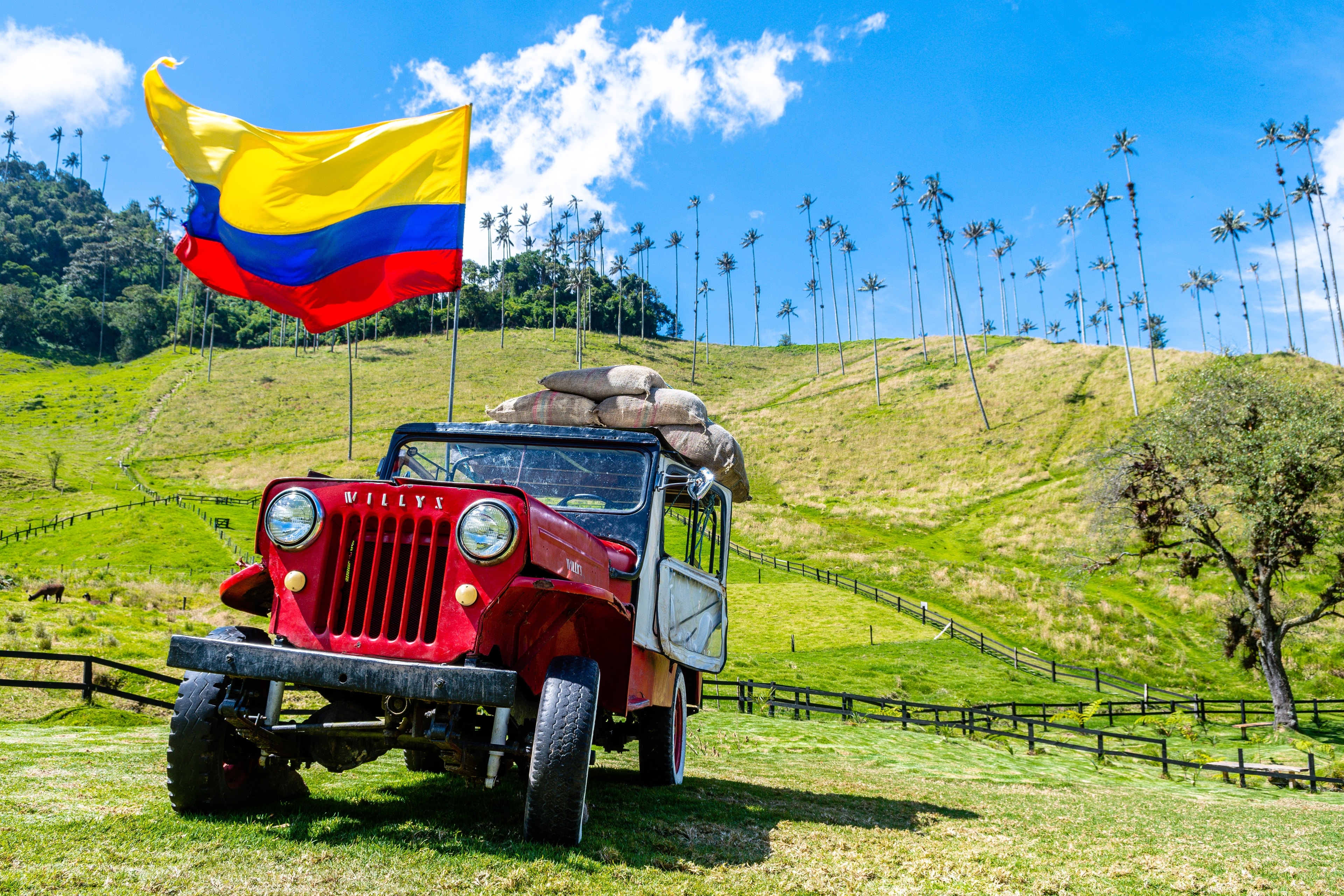 Coffee Region — destino Colombia